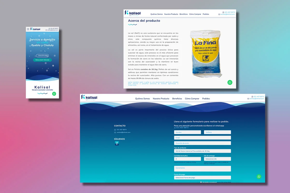 Proyecto Kalisal por Bombilla Digital